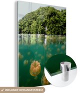 MuchoWow® Glasschilderij 30x40 cm - Schilderij acrylglas - Kwal - Planten - Water - Foto op glas - Schilderijen