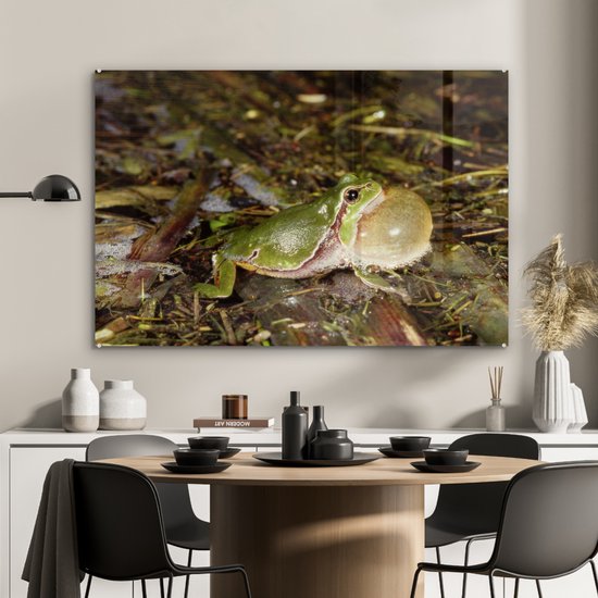 MuchoWow® Peinture sur Verre - Grenouille qui croasse - 120x80 cm - Peintures sur Verre Acrylique - Photo sur Glas