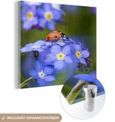 MuchoWow® Glasschilderij 90x90 cm - Schilderij acrylglas - Lieveheersbeestje op een paarse bloem - Foto op glas - Schilderijen