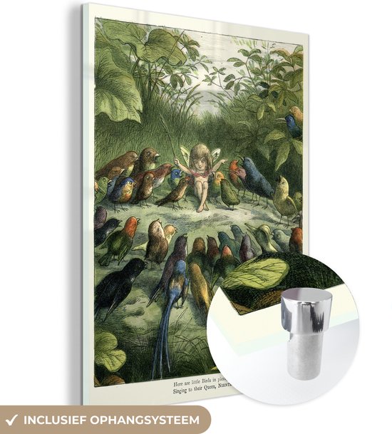 MuchoWow® Glasschilderij 30x40 cm - Schilderij acrylglas - Antieke vogelprent elf - Foto op glas - Schilderijen