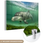 MuchoWow® Glasschilderij 60x40 cm - Schilderij glas - Dolfijn - Dieren - Water - Foto op acrylglas - Schilderijen