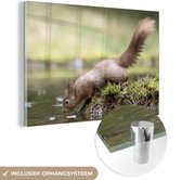 MuchoWow® Peinture sur verre 120x80 cm - Peinture sur verre acrylique - Écureuil - Water - Forêt - Photo sur verre - Peintures