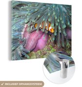 MuchoWow® Glasschilderij 40x30 cm - Schilderij glas - Clownvis - Vissen - Anemoon - Foto op acrylglas - Schilderijen