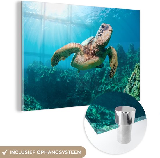 MuchoWow® Glasschilderij 150x100 cm - Schilderij acrylglas - Zwemmende schildpad fotoafdruk - Foto op glas - Schilderijen