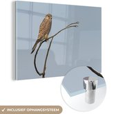 Peinture sur Verre - Vogel - Branche - Marron - 150x100 cm - Peintures sur Verre Peintures - Photo sur Glas