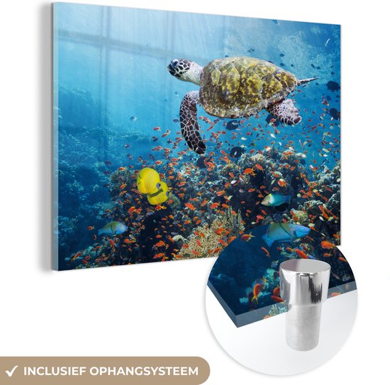 MuchoWow® Glasschilderij 150x100 cm - Schilderij acrylglas - Schildpad bij koraalrif - Foto op glas - Schilderijen