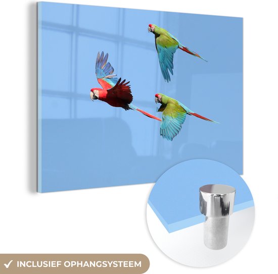 MuchoWow® Glasschilderij 150x100 cm - Schilderij acrylglas - Drie vliegende aras - Foto op glas - Schilderijen