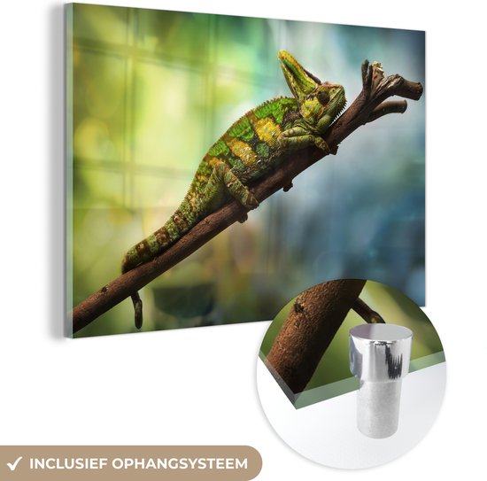 MuchoWow® Glasschilderij 60x40 cm - Schilderij acrylglas - Groene kameleon op een tak - Foto op glas - Schilderijen