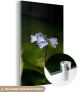 MuchoWow® Glasschilderij 60x90 cm - Schilderij acrylglas - Close-up bloeiende hortensia - Foto op glas - Schilderijen