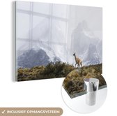 MuchoWow® Glasschilderij 120x80 cm - Schilderij acrylglas - Lama - Sneeuw - Bergen - Foto op glas - Schilderijen