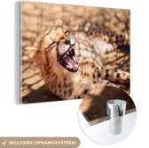 Peinture sur Verre - Cheetah - Animal - Gros plan - 180x120 cm - Peintures Acryliques - Photo sur Glas