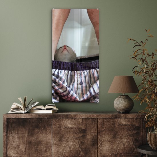 Peinture sur Verre - Chat - Pantalon - Toilettes - 40x80 cm - Peintures sur Verre Peintures - Photo sur Glas