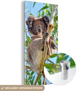MuchoWow® Glasschilderij 60x120 cm - Schilderij acrylglas - Koala - Lucht - Takken - Kinderen - Jongens - Meiden - Foto op glas - Schilderijen