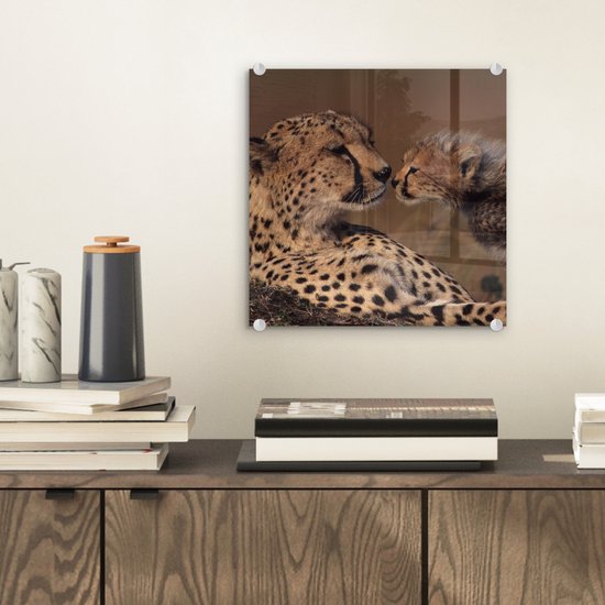 MuchoWow® Glasschilderij 20x20 cm - Schilderij acrylglas - Cheeta moeder en welp - Foto op glas - Schilderijen