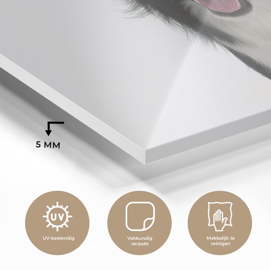 MuchoWow® Tableau sur Verre - Photo Portrait d'un Bon Border Collie Assis - 80x40 cm - Peintures sur Verre Acrylique - Photo sur Glas