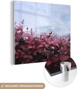 MuchoWow® Peinture sur verre 90x90 cm - Peinture sur verre - Fleurs dans la brume - Photo sur verre acrylique - Peintures