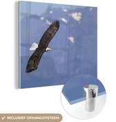 MuchoWow® Glasschilderij 50x50 cm - Schilderij acrylglas - Amerikaanse zee arend - Adelaar - Vliegende - Vleugels - Vogels - Foto op glas - Schilderijen