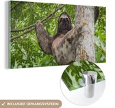 MuchoWow® Glasschilderij 120x60 cm - Schilderij acrylglas - Een luiaard klimt in een boom in een groene omgeving - Foto op glas - Schilderijen