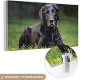MuchoWow® Glasschilderij 160x80 cm - Schilderij acrylglas - Een zwarte labrador in het gras - Foto op glas - Schilderijen