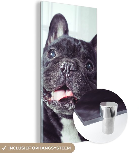 MuchoWow® Glasschilderij 40x80 cm - Schilderij acrylglas - Franse Bulldog - Zwart - Stoel - Foto op glas - Schilderijen