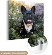 MuchoWow® Glasschilderij 20x20 cm - Schilderij acrylglas - Franse Bulldog - Bloemen - Paars - Foto op glas - Schilderijen