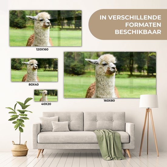 ® Glasschilderij 40x20 cm - Schilderij acrylglas - Alpaca - Wit - Bruin - Boom - Foto op glas - Muurdecoratie woonkamer - Wanddecoratie slaapkamer - Schilderijen