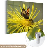 MuchoWow® Glasschilderij 30x20 cm - Schilderij acrylglas - Vlinder op een Alant bloem - Foto op glas - Schilderijen