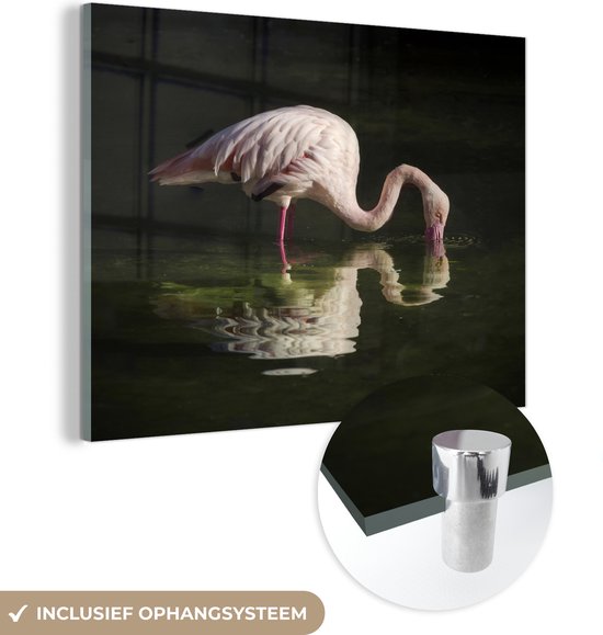 MuchoWow® Glasschilderij 120x90 cm - Schilderij acrylglas - Een Chileense flamingo in het water met reflectie - Foto op glas - Schilderijen