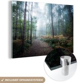 Un chemin brumeux à travers la forêt en Glas 30x20 cm - petit - Tirage photo sur Glas (Décoration murale en plexiglas)