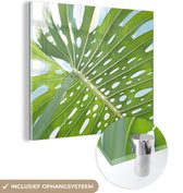 MuchoWow® Glasschilderij 90x90 cm - Schilderij acrylglas - Een groen botanisch blad in de zon - Foto op glas - Schilderijen