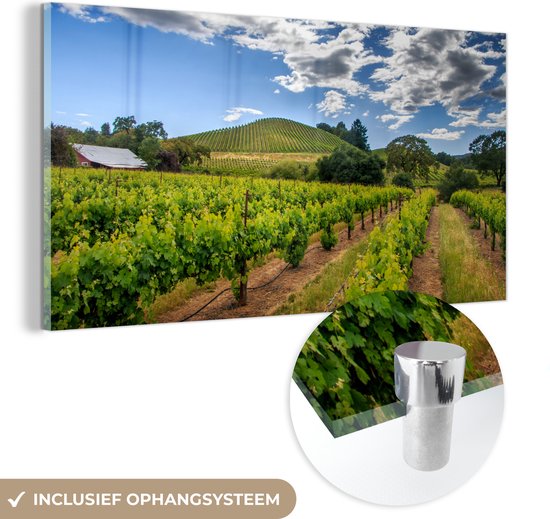 MuchoWow® Glasschilderij 120x60 cm - Schilderij acrylglas - Landschap met een wijngaard - Foto op glas - Schilderijen