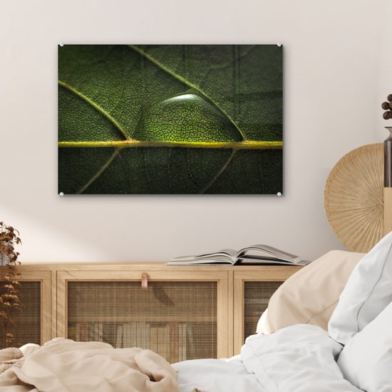 MuchoWow® Peinture sur verre 60x40 cm - Peinture sur verre - Photo de goutte d'eau sur une feuille botanique - Photo sur verre acrylique - Peintures