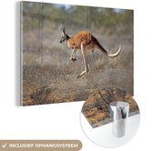 MuchoWow® Glasschilderij 30x20 cm - Schilderij acrylglas - Kangoeroe - Gras - Australië - Foto op glas - Schilderijen