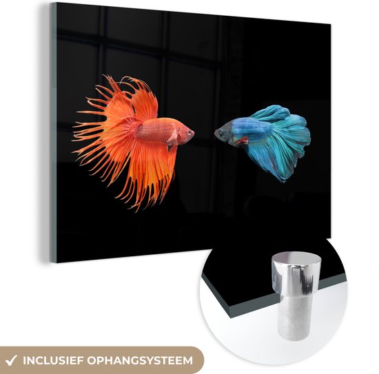 MuchoWow® Glasschilderij 30x20 cm - Schilderij acrylglas - Vis - Wilde dieren - Zwart - Foto op glas - Schilderijen
