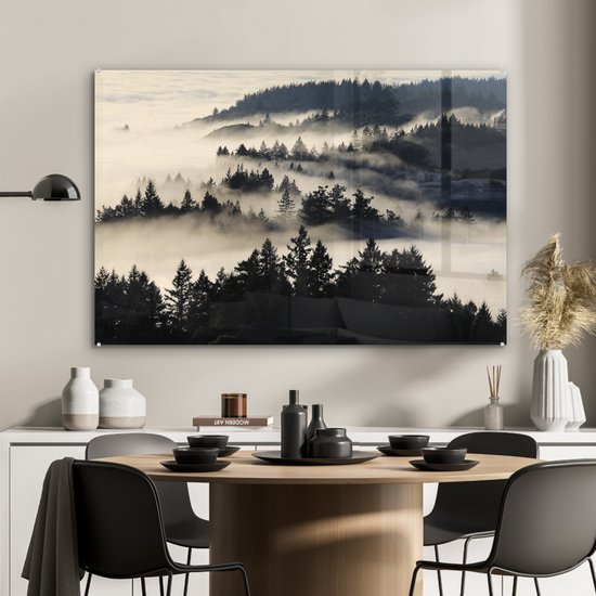 MuchoWow® Peinture sur Verre - Illustration Zwart& Blanc de Redwood dans le Brouillard - 90x60 cm - Peintures sur Verre Acrylique - Photo sur Glas