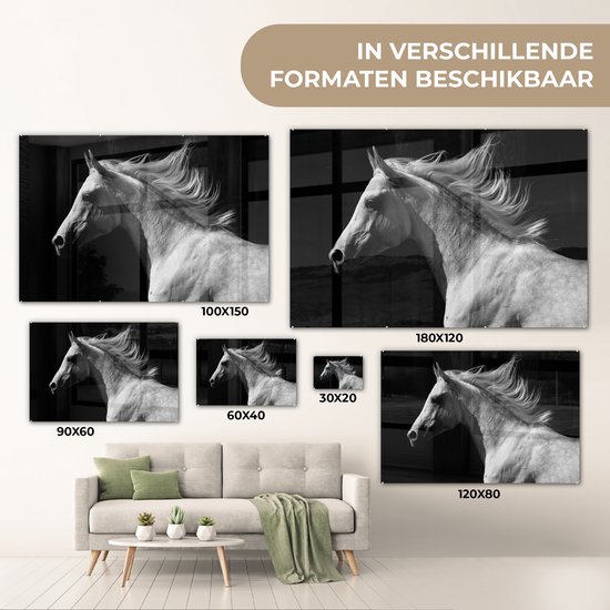 MuchoWow® Peinture sur Verre - Paarden - Animaux - Portrait - 60x40 cm - Peintures sur Verre Acrylique - Photo sur Glas