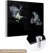 MuchoWow® Glasschilderij 80x60 cm - Schilderij acrylglas - Vogels - Veren - Zwart - Foto op glas - Schilderijen