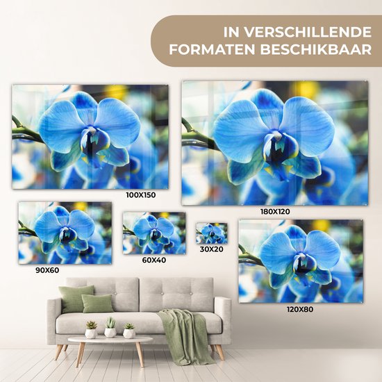 Peinture sur verre - Gros plan d'une orchidée bleue avec un arrière-plan flou - 180x120 cm - Peintures sur Verre Peintures - Photo sur Glas