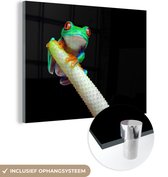 MuchoWow® Glasschilderij 120x90 cm - Schilderij acrylglas - Kikker - Dieren - Plant - Foto op glas - Schilderijen