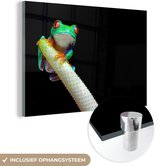 MuchoWow® Peinture sur verre 180x120 cm - Peinture sur verre acrylique - Grenouille - Animaux - Plante - Photo sur verre - Peintures