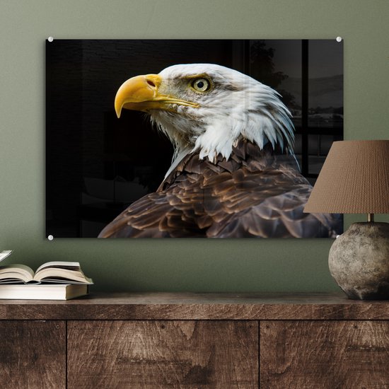 MuchoWow® Peinture sur verre 60x40 cm - Peinture sur verre acrylique - Aigle - Vogel - Yeux - Bec - Photo sur verre - Peintures