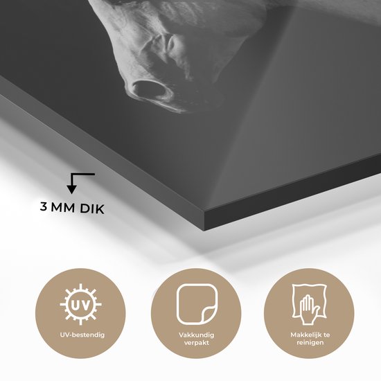 MuchoWow® Peinture sur verre 60x40 cm - Peinture acrylique sur verre - Paarden - Animaux - Portrait - Photo sur verre - Peintures