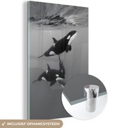 MuchoWow® Glasschilderij 40x60 cm - Schilderij acrylglas - Orka - Water - Zwart - Wit - Foto op glas - Schilderijen