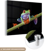 MuchoWow® Glasschilderij 80x60 cm - Schilderij acrylglas - Kikker - Plant - Zwart - Foto op glas - Schilderijen