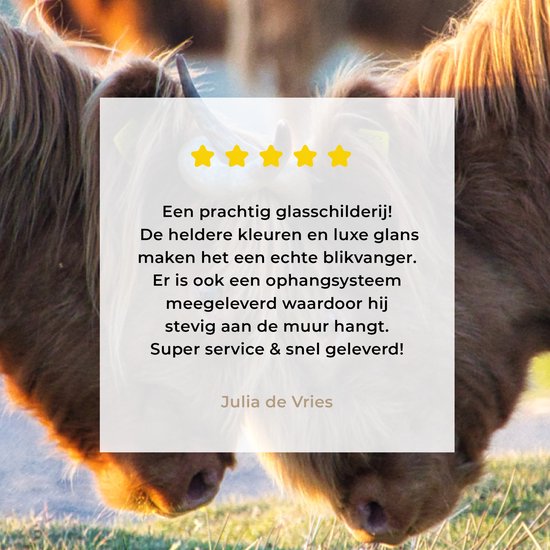 MuchoWow® Peinture sur verre 160x120 cm - Peinture sur verre acrylique - Highlanders écossais - Animaux - Soleil - Photo sur verre - Peintures