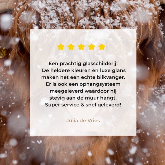 MuchoWow® Peinture sur Verre - Highlander écossais - Cornes - Neige - 40x30 cm - Peintures sur Verre Acrylique - Photo sur Glas