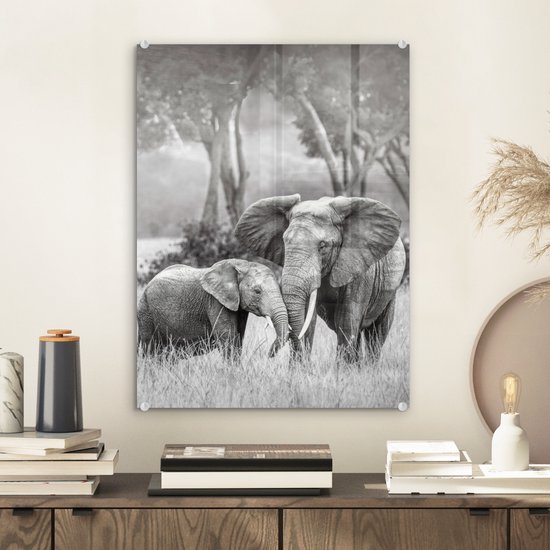 MuchoWow® Tableau en verre 30x40 cm - Peinture sur verre acrylique - Éléphant - Animaux - Nature - Noir et blanc - Photo sur verre - Tableaux