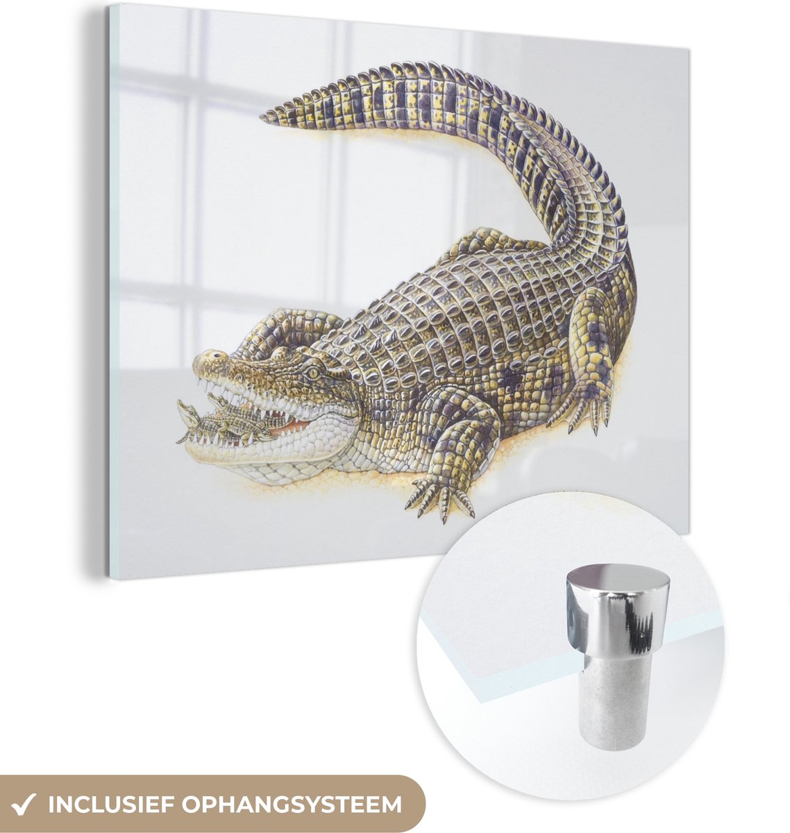 ® Glasschilderij 160x120 cm - Schilderij acrylglas - Krokodil - Baby - Wit - Foto op glas - Muurdecoratie woonkamer - Wanddecoratie slaapkamer - Schilderijen