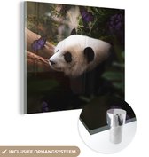MuchoWow® Glasschilderij 20x20 cm - Schilderij acrylglas - Dieren - Jungle - Panda - Foto op glas - Schilderijen