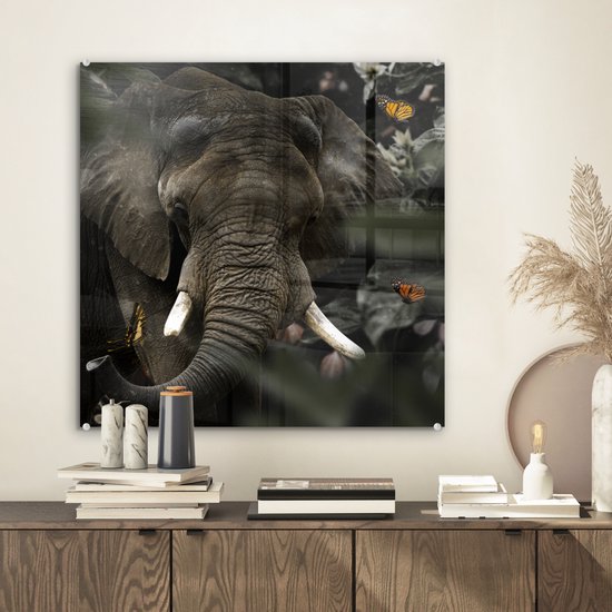 muchowow-glasschilderij-50x50-cm-schilderij-acrylglas-dieren